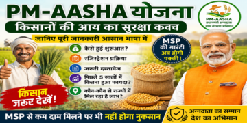 PM-AASHA: PM-AASHA योजना: किसानों को MSP का सुरक्षा कवच देने वाली बड़ी सरकारी पहल