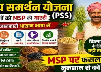 PSS Scheme
