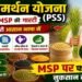 PSS Scheme