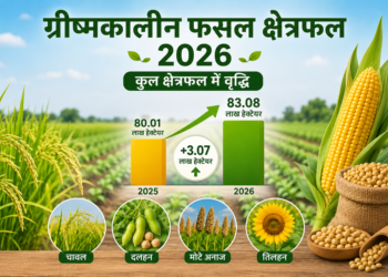 “ग्रीष्मकालीन फसल क्षेत्रफल 2026 में बढ़ता मक्का और दलहन उत्पादन”
