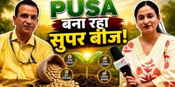 पूसा की प्रयोगशाला से खेत तक: बीजों में आ रही नई जान- डॉ. ज्ञान प्रकाश मिश्रा