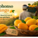 alphonso mango