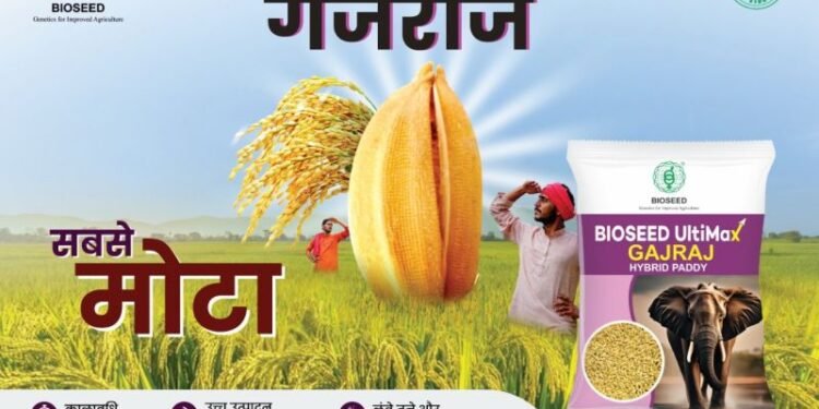 सबसे मोटा दाना और दमदार उत्पादन का नया भरोसा बना ‘बायोसीड अल्टिमैक्स गजराज’