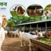 बकरी पालन: ग्रामीण अर्थव्यवस्था और किसानों की आय बढ़ाने का मजबूत माध्यम