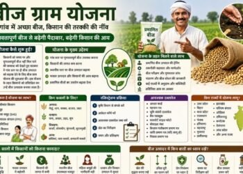 seed village scheme: किसानों को गांव में ही मिलेगा अच्छा बीज, बढ़ेगी पैदावार और कम होगी लागत