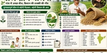 seed village scheme: किसानों को गांव में ही मिलेगा अच्छा बीज, बढ़ेगी पैदावार और कम होगी लागत