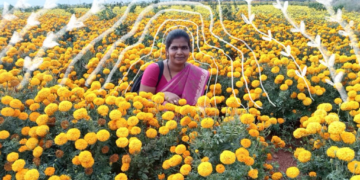 आंध्र प्रदेश में CVD खेती से बदलेगी तटीय इलाकों की तस्वीर, महिलाओं और मछुआरों की आय बढ़ाने पर फोकस
