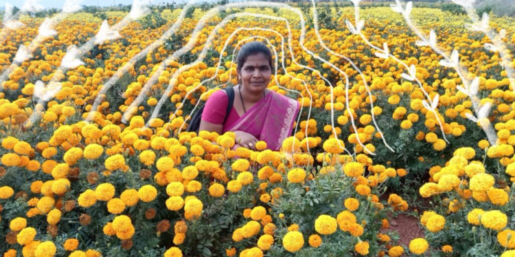 आंध्र प्रदेश में CVD खेती से बदलेगी तटीय इलाकों की तस्वीर, महिलाओं और मछुआरों की आय बढ़ाने पर फोकस