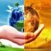 जलवायु परिवर्तन से भारत में फसल की पैदावार में कमी, खाद्य महंगाई बढ़ी