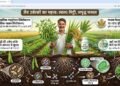 जैव उर्वरकों का महत्व, प्रकार और उपयोग की संपूर्ण जानकारी