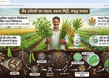 जैव उर्वरकों का महत्व, प्रकार और उपयोग की संपूर्ण जानकारी