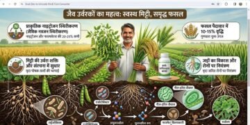 जैव उर्वरकों का महत्व, प्रकार और उपयोग की संपूर्ण जानकारी