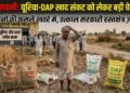 जानें, क्या है यूरिया-DAP खाद संकट को लेकर बड़ी चेतावनी