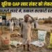 जानें, क्या है यूरिया-DAP खाद संकट को लेकर बड़ी चेतावनी