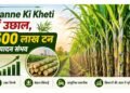 Ganne Ki Kheti में उछाल, 500 लाख टन उत्पादन संभव