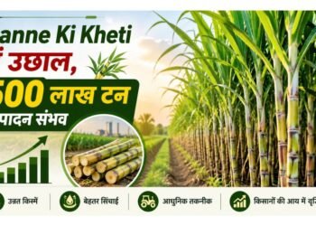 Ganne Ki Kheti में उछाल, 500 लाख टन उत्पादन संभव