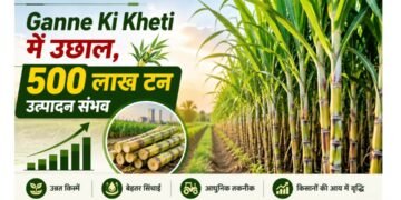 Ganne Ki Kheti में उछाल, 500 लाख टन उत्पादन संभव