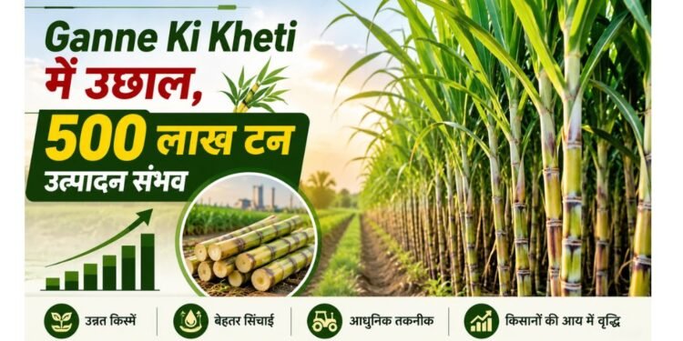 Ganne Ki Kheti में उछाल, 500 लाख टन उत्पादन संभव