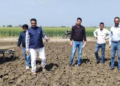 समय से पहले धान बोना पड़ा भारी! करनाल में प्रशासन का बड़ा एक्शन, ट्रैक्टर चलाकर नष्ट की फसल