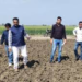 समय से पहले धान बोना पड़ा भारी! करनाल में प्रशासन का बड़ा एक्शन, ट्रैक्टर चलाकर नष्ट की फसल