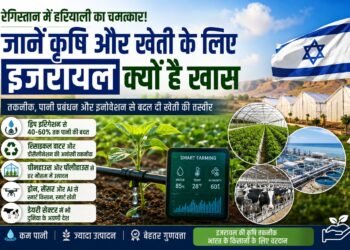 रेगिस्तान में हरियाली का चमत्कार! जानें कृषि और खेती के लिए इजरायल क्यों है पूरी दुनिया के लिए मिसाल