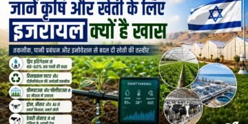 रेगिस्तान में हरियाली का चमत्कार! जानें कृषि और खेती के लिए इजरायल क्यों है पूरी दुनिया के लिए मिसाल