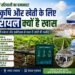 रेगिस्तान में हरियाली का चमत्कार! जानें कृषि और खेती के लिए इजरायल क्यों है पूरी दुनिया के लिए मिसाल