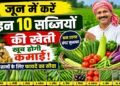 June Vegetable Farming