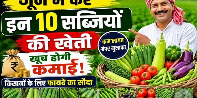 June Vegetable Farming