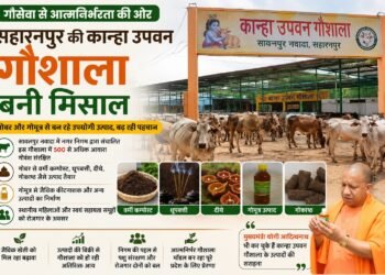 गोबर से कमाई, गोवंश की सेवा: सहारनपुर की कान्हा उपवन गौशाला बनी पूरे प्रदेश के लिए मिसाल
