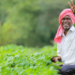 PM Kisan 23वीं किस्त का इंतजार! इन छोटी गलतियों से अटक सकता है पैसा, ऐसे करें तुरंत सुधार