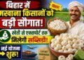 मखाना क्रांति 2026: बिहार सरकार की नई योजना से खेती से एक्सपोर्ट तक बरसेगी सब्सिडी, किसानों की आय में बड़ा उछाल!