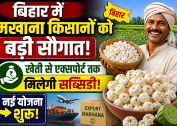 मखाना क्रांति 2026: बिहार सरकार की नई योजना से खेती से एक्सपोर्ट तक बरसेगी सब्सिडी, किसानों की आय में बड़ा उछाल!