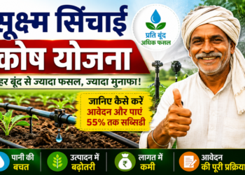 micro irrigation scheme