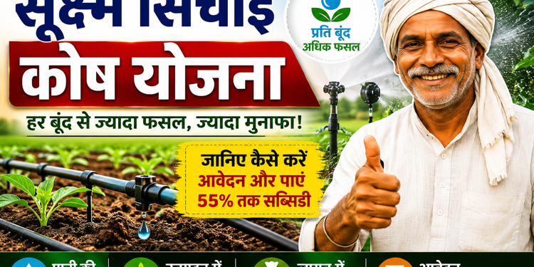 micro irrigation scheme