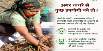 बेकार अवशेष से बना आजीविका का सहारा, अंजाव की महिला किसान की प्रेरक सफलता कहानी