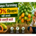 papaya farming