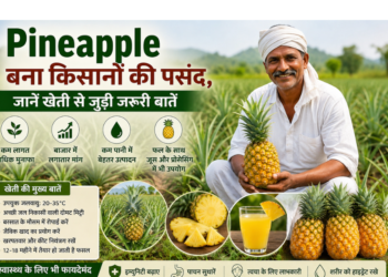 pineapple