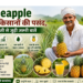 pineapple