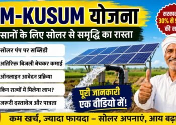 PM-KUSUM योजना: किसानों के लिए सोलर ऊर्जा से कमाई का बड़ा मौका