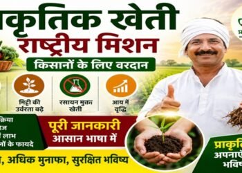 prakritik kheti yojana
