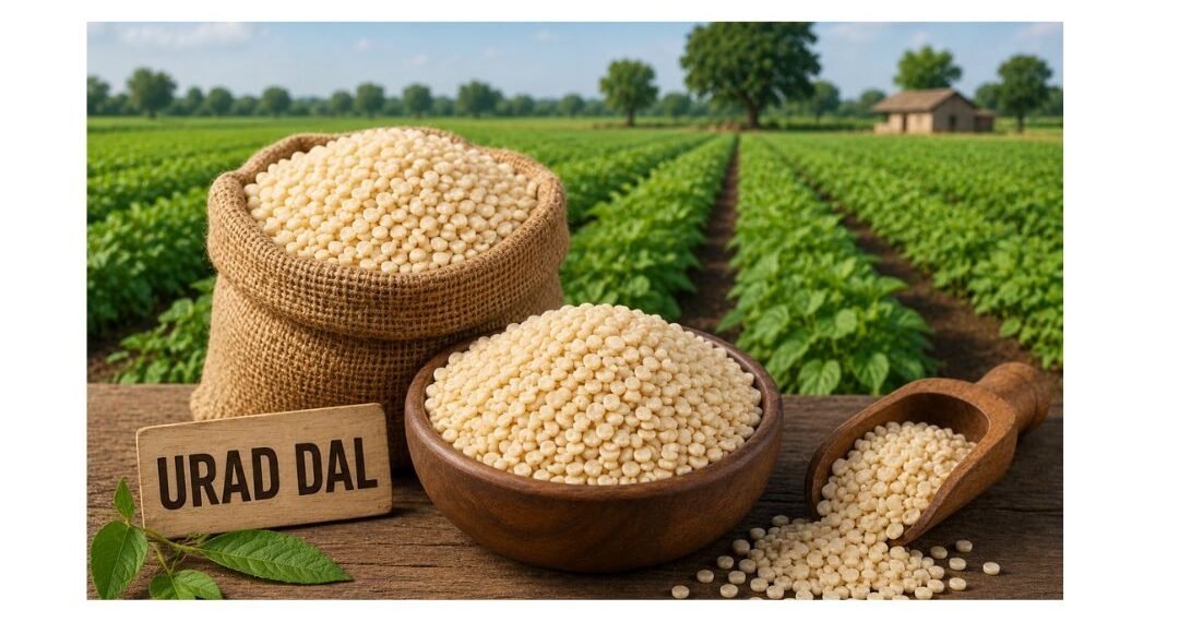 urad dal