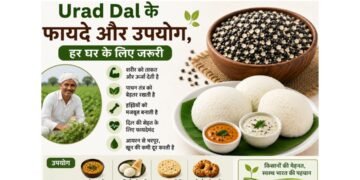Urad Dal के फायदे और उपयोग, हर घर के लिए जरूरी