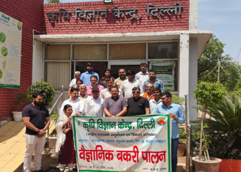 कृषि विज्ञान केंद्र उजवा में वैज्ञानिक बकरी पालन प्रशिक्षण संपन्न, युवाओं को स्वरोजगार के लिए किया प्रेरित