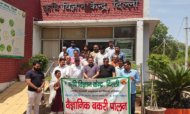 कृषि विज्ञान केंद्र उजवा में वैज्ञानिक बकरी पालन प्रशिक्षण संपन्न, युवाओं को स्वरोजगार के लिए किया प्रेरित