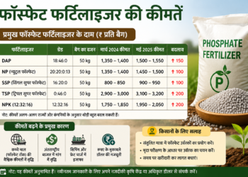 भारत में फॉस्फेट फर्टिलाइजर की कीमतें 40% ज़्यादा बढ़ीं