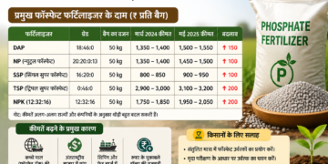 भारत में फॉस्फेट फर्टिलाइजर की कीमतें 40% ज़्यादा बढ़ीं