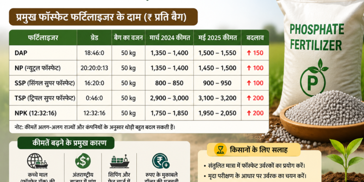 भारत में फॉस्फेट फर्टिलाइजर की कीमतें 40% ज़्यादा बढ़ीं