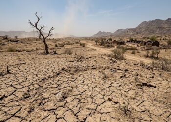‘बंजर भूमि’ शब्द बदलने की जरूरत, ILDC कॉन्फ्रेंस में उठी मांग