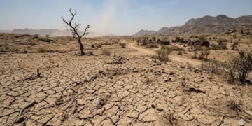 ‘बंजर भूमि’ शब्द बदलने की जरूरत, ILDC कॉन्फ्रेंस में उठी मांग